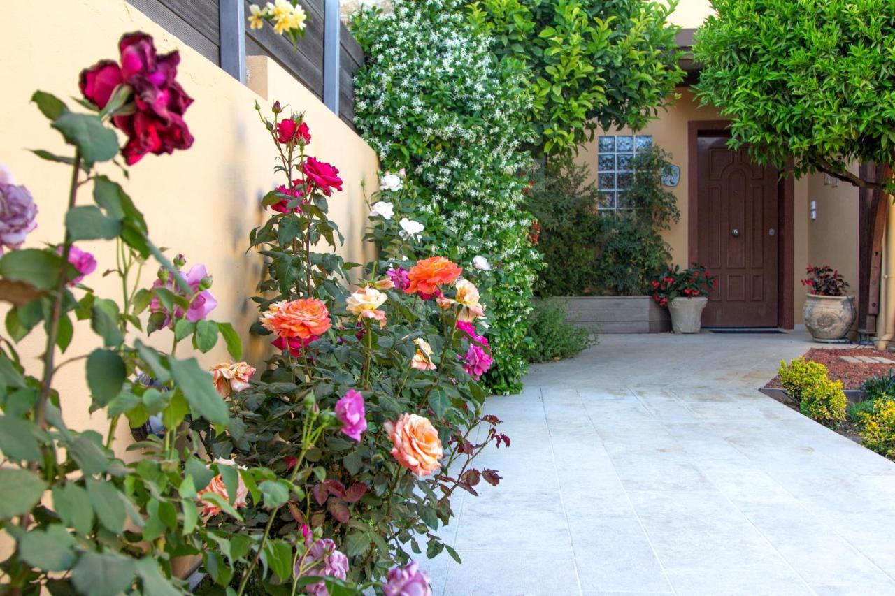 Lida Garden Loft Villa Anavyssos Exterior foto